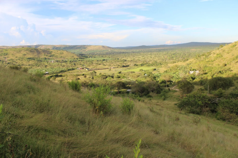 Green rolling landscape in Tanzania
