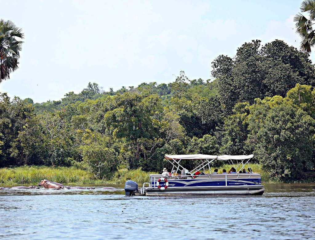 Boat Cruises