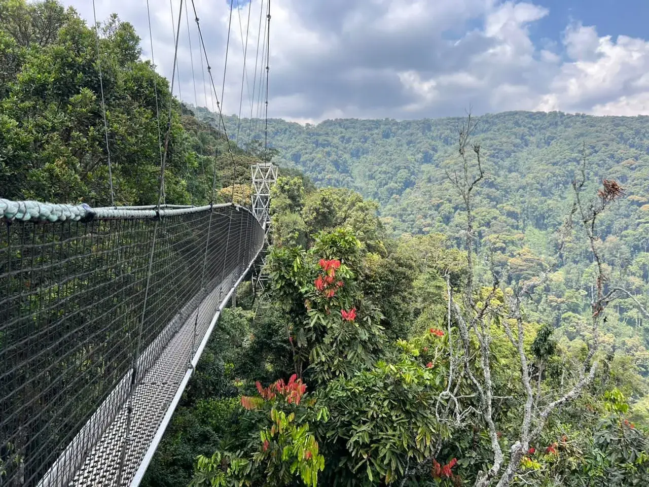 Kibira National Park
