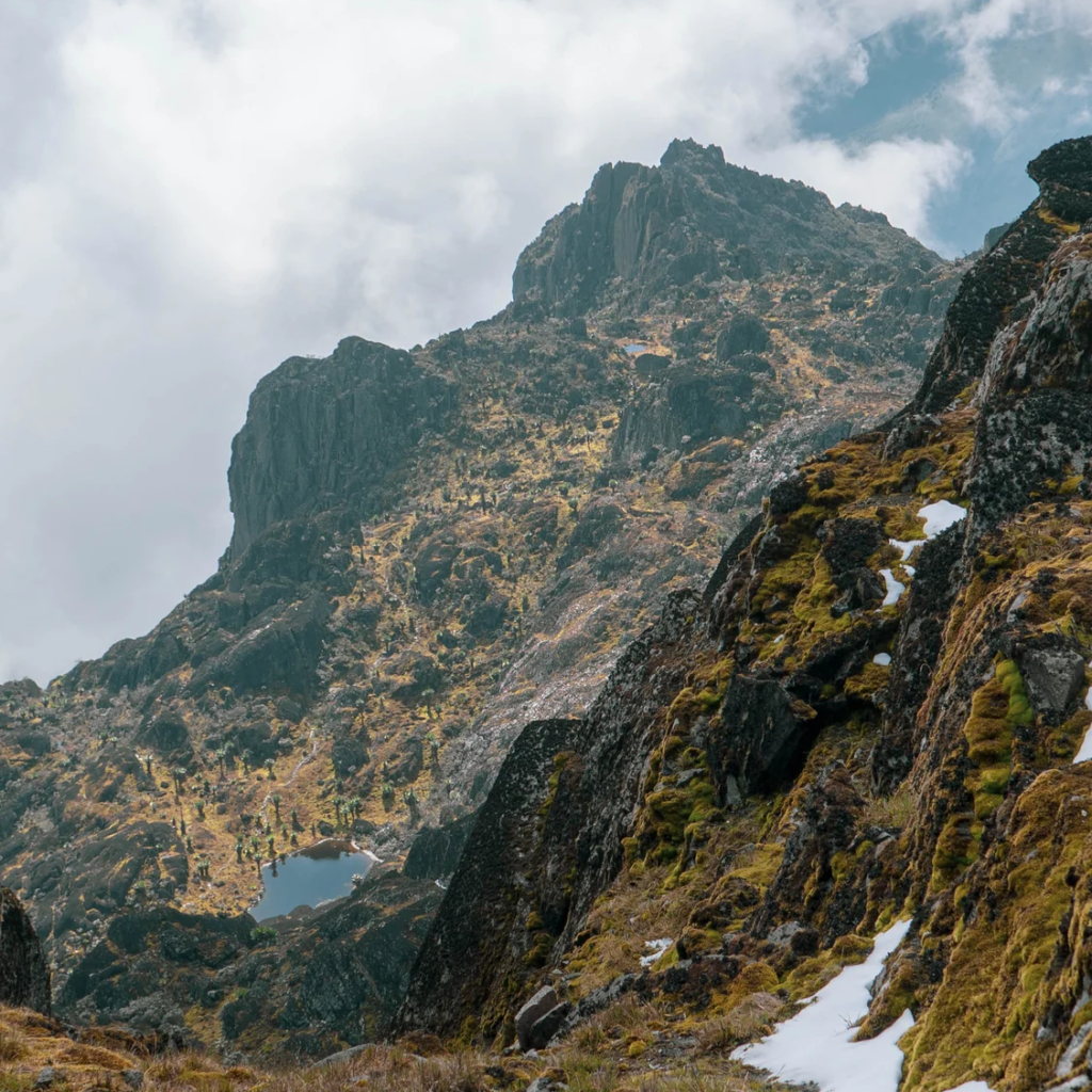 High camp view, the Rwenzori Mountains
