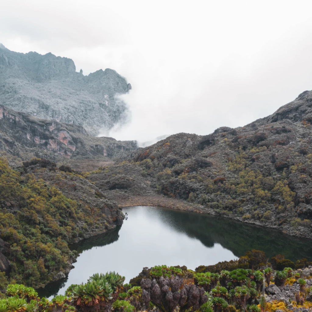 15 Day Margherita Summit and Primate Trails