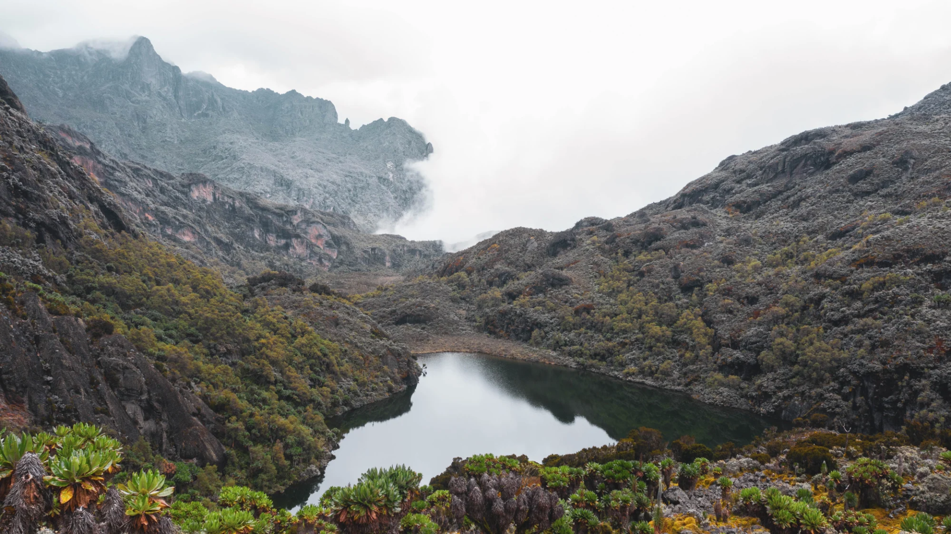 15 Day Margherita Summit and Primate Trails