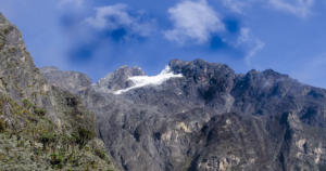 8 Day Rwenzori Central Circuit Trek