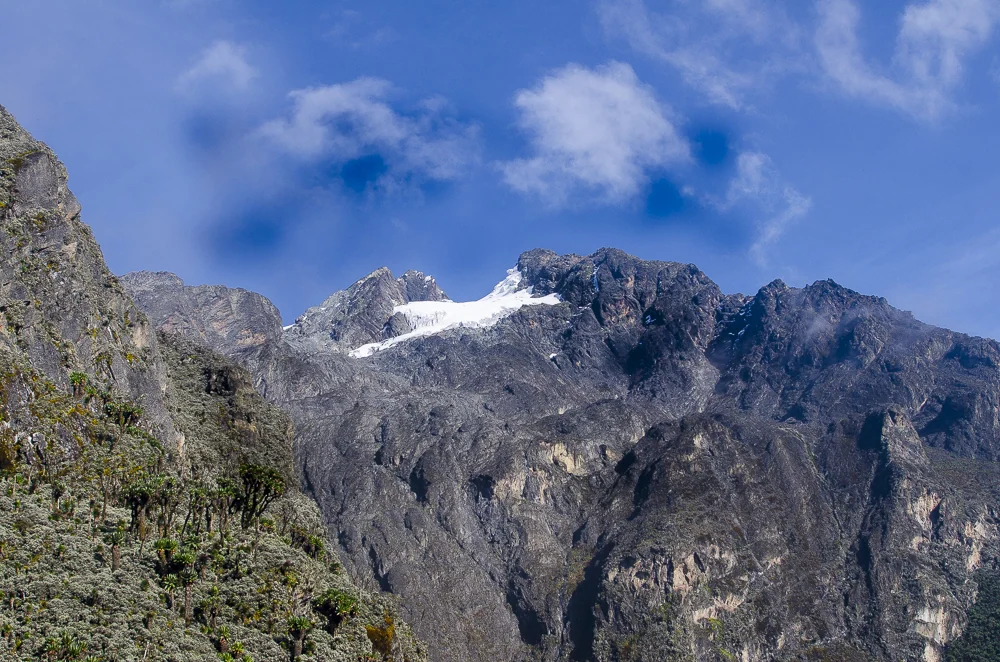 8 Day Rwenzori Central Circuit Trek