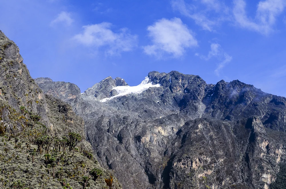 9 Day Rwenzori Snow Peaks Summit Expedition