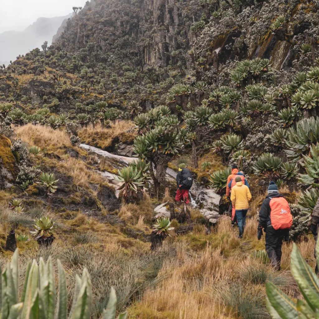 5 Day Rwenzori Foothills Trek: Lake Mahoma and Ruboni