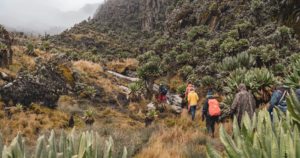 5 Day Rwenzori Foothills Trek: Lake Mahoma and Ruboni
