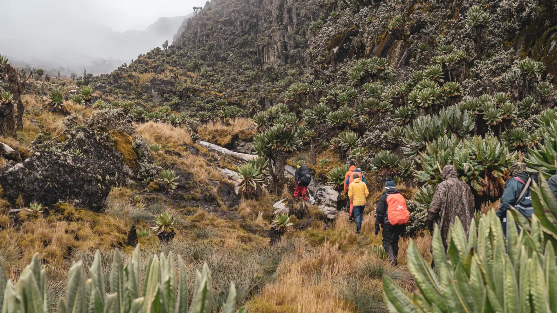 5 Day Rwenzori Foothills Trek: Lake Mahoma and Ruboni