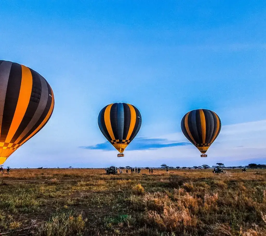 Balloon Safaris