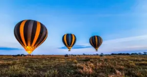 4 Day Luxury Dar es Salaam to Serengeti Fly-in