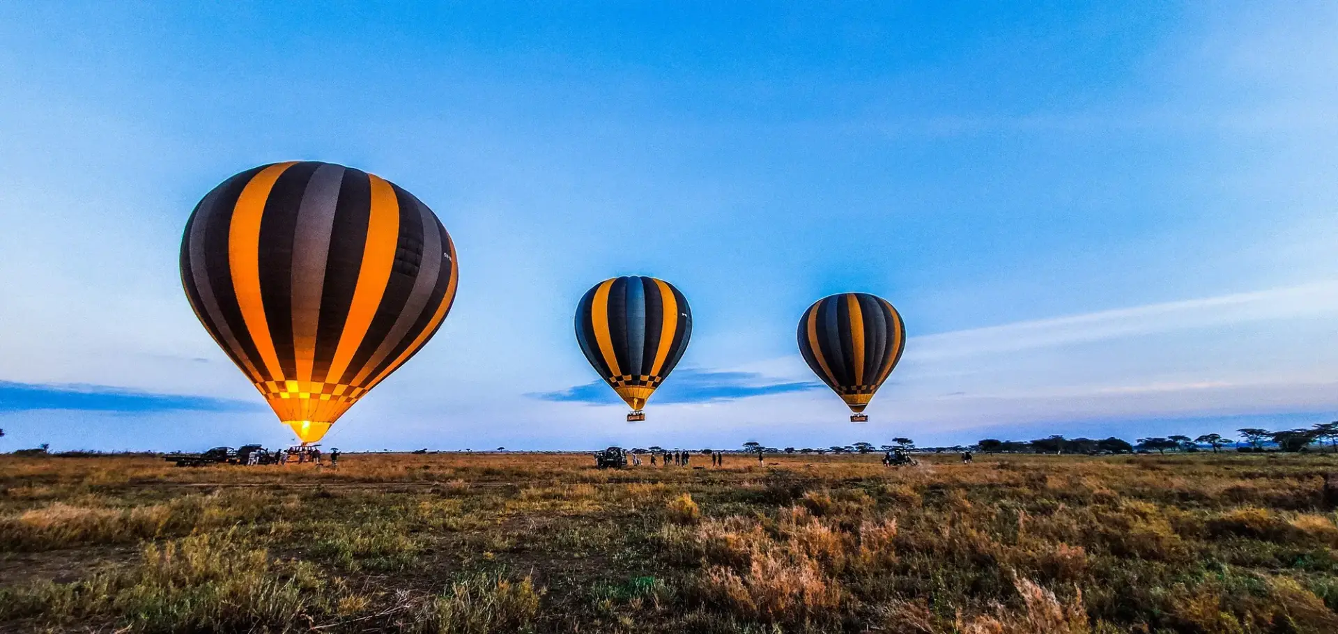 4 Day Luxury Dar es Salaam to Serengeti Fly-in