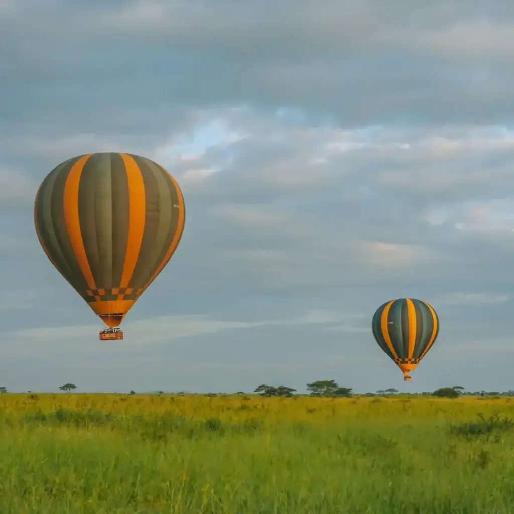 14 Day Plains and Primates: Serengeti, Mara and Gorillas