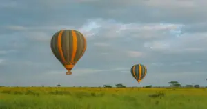 14 Day Plains and Primates: Serengeti, Mara and Gorillas