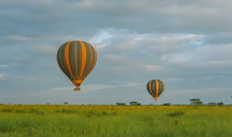 14 Day Plains and Primates: Serengeti, Mara and Gorillas