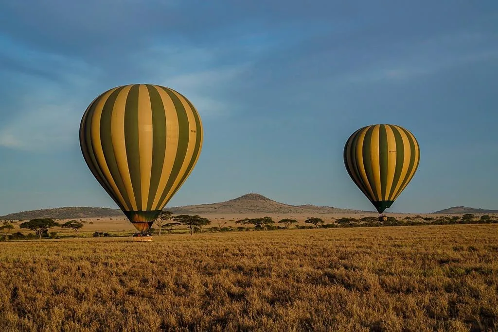 Hot Air Balloon Safaris