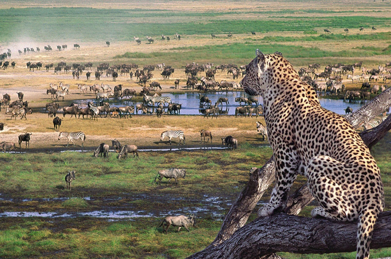 Serengeti National Park