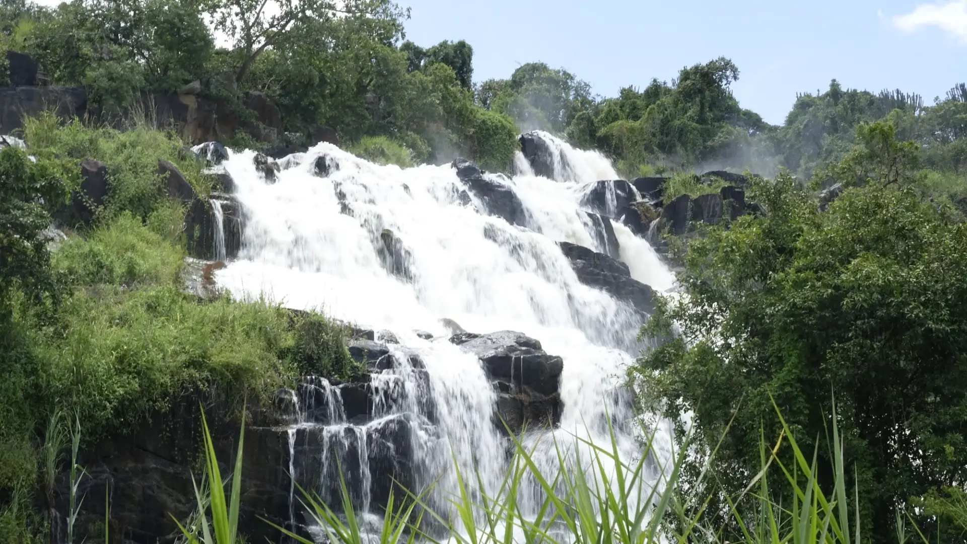 10 Day Karamoja Culture, Coffee and Wildlife