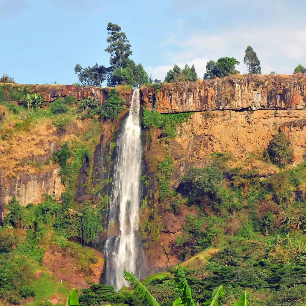 Adventure Safaris
