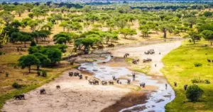 21 Day Southern Tanzania Wilds to Uganda Gorillas