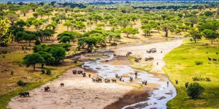 21 Day Southern Tanzania Wilds to Uganda Gorillas