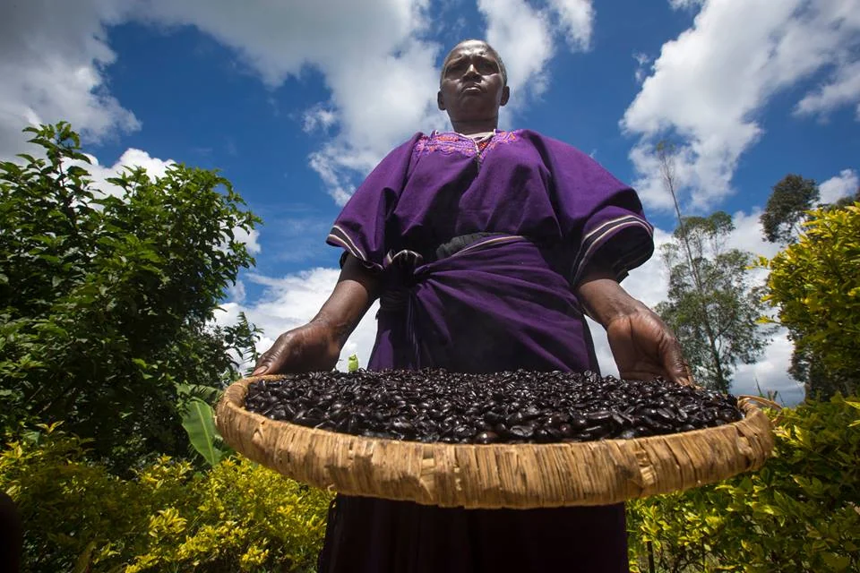A coffee farmer at work in Uganda