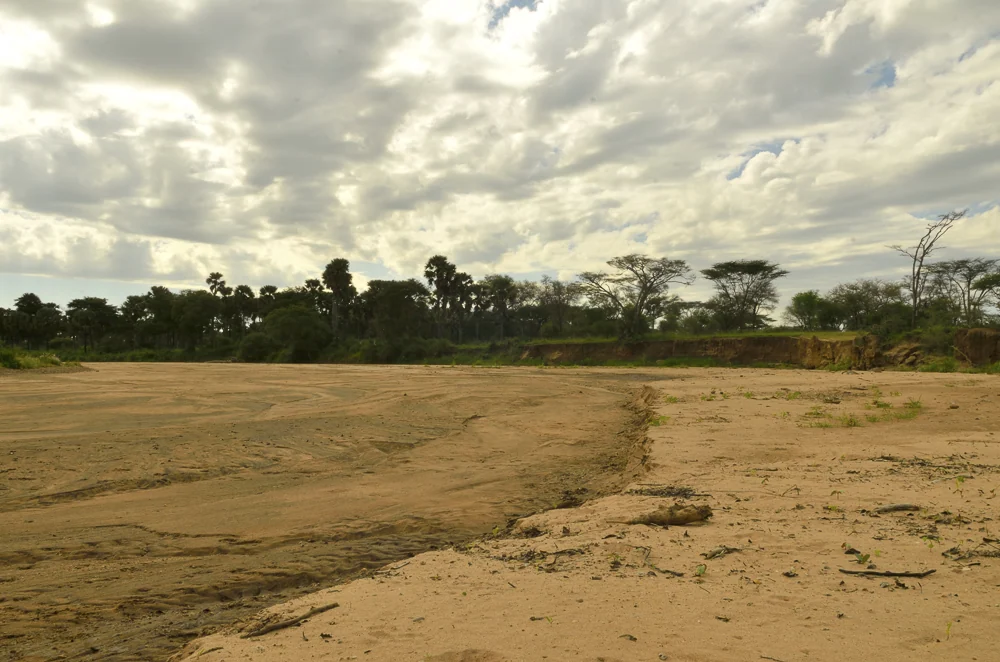 Dry riverbed savannah, Uganda