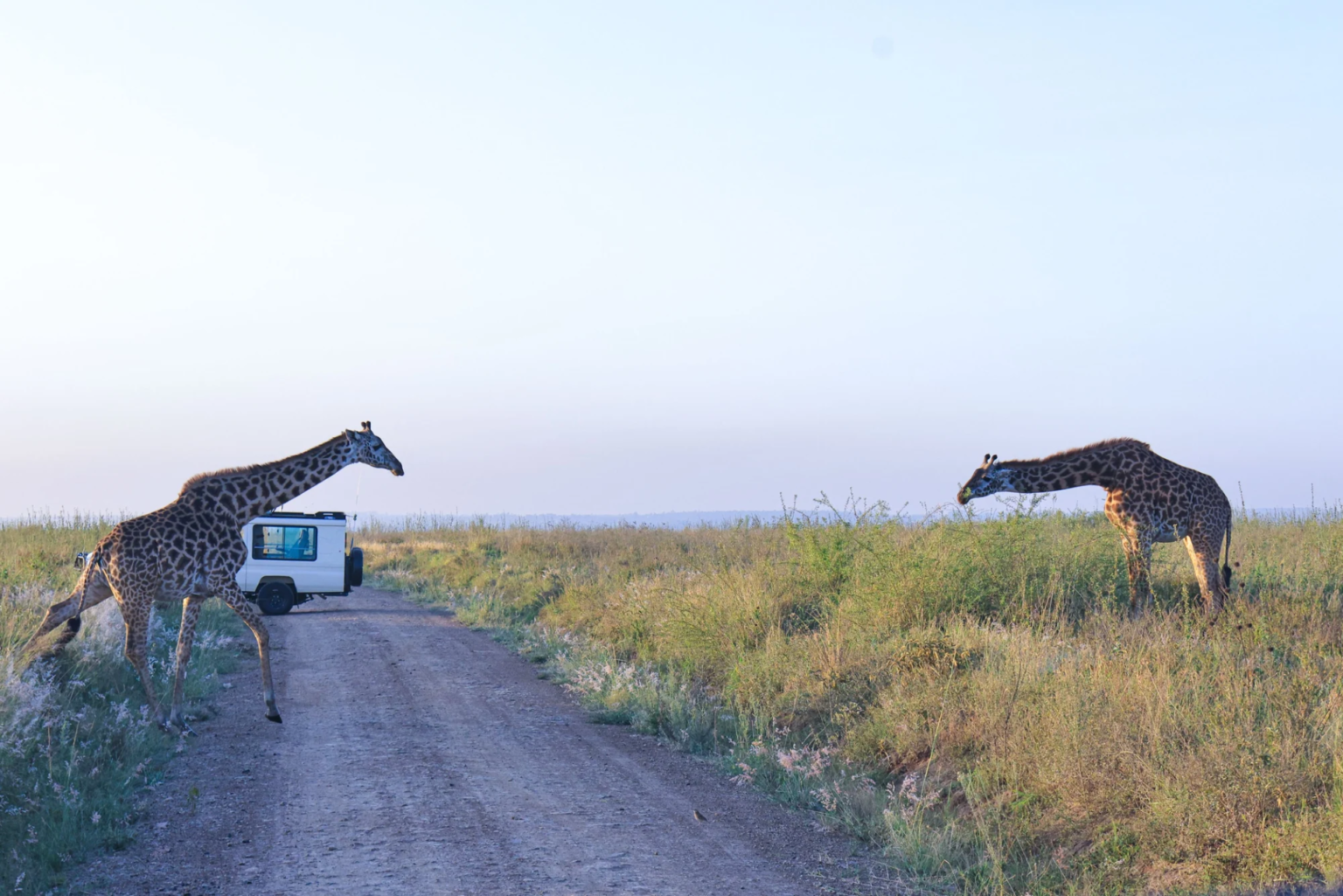 Mikumi National Park
