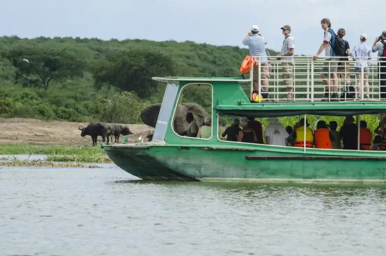 5 Day Short Uganda Primate and Savannah Escape
