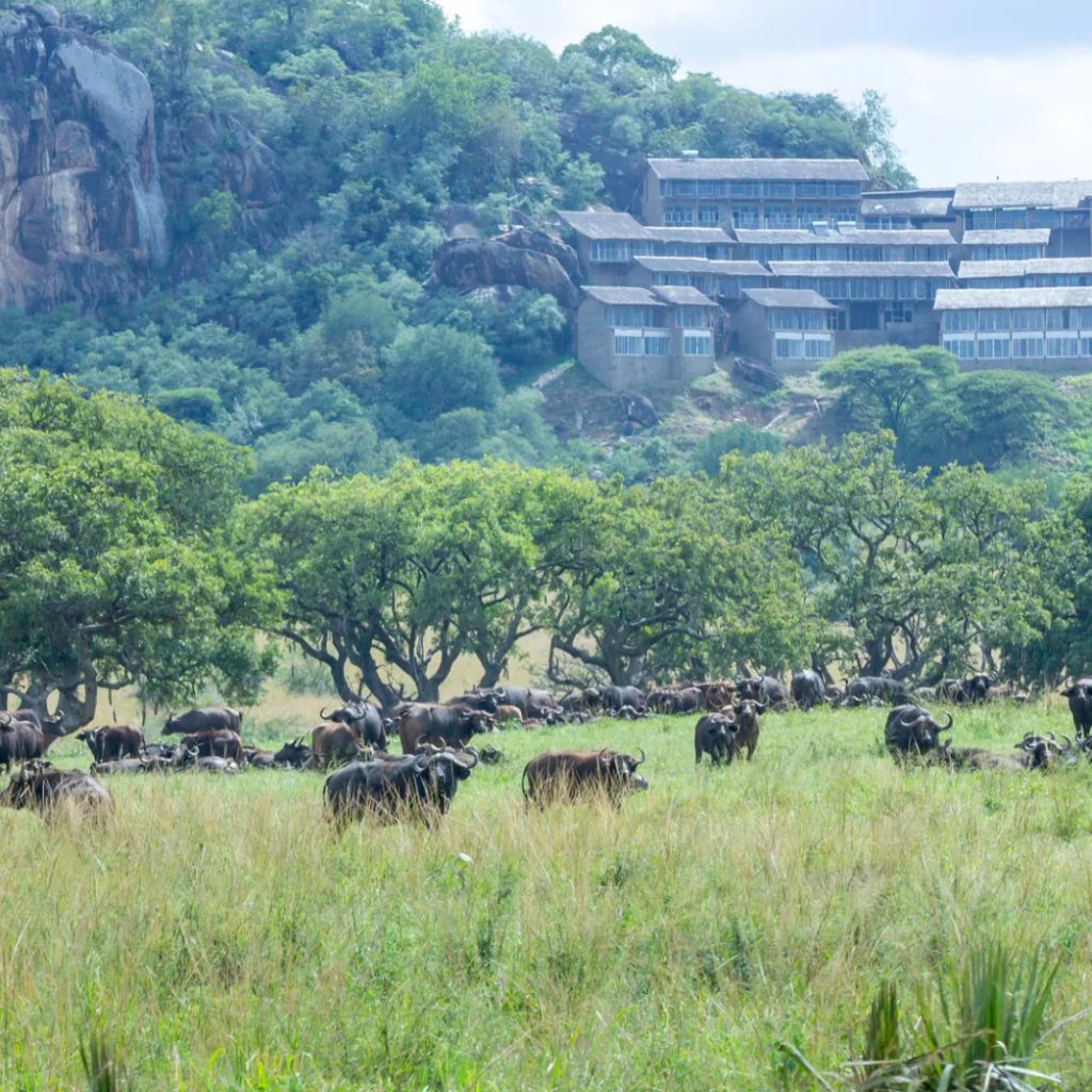 Lodge rocky hill, Uganda