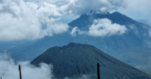 9 Day Luxury Volcanoes to Serengeti: Rwanda and Tanzania