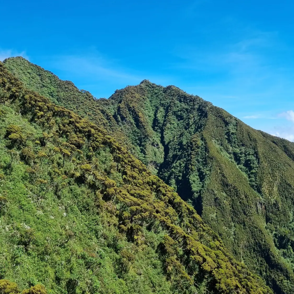 5 Day Rwanda Savannah and Volcano Escape
