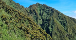 5 Day Rwanda Savannah and Volcano Escape