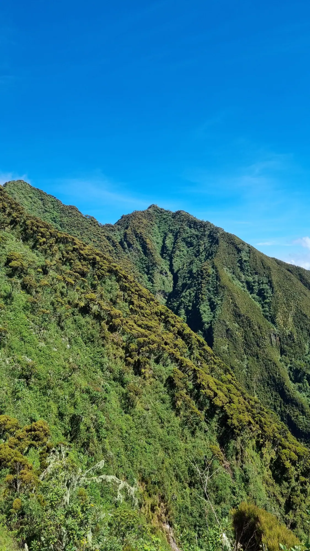 5 Day Rwanda Savannah and Volcano Escape