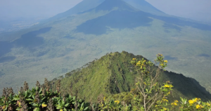 11 Day Rwanda Land of a Thousand Hills Grand Tour