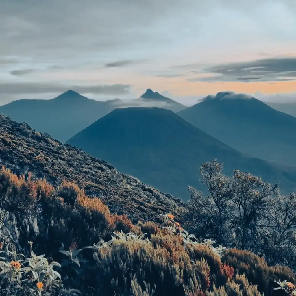 22 Day Uganda, Rwanda and Virunga Congo Grand Expedition