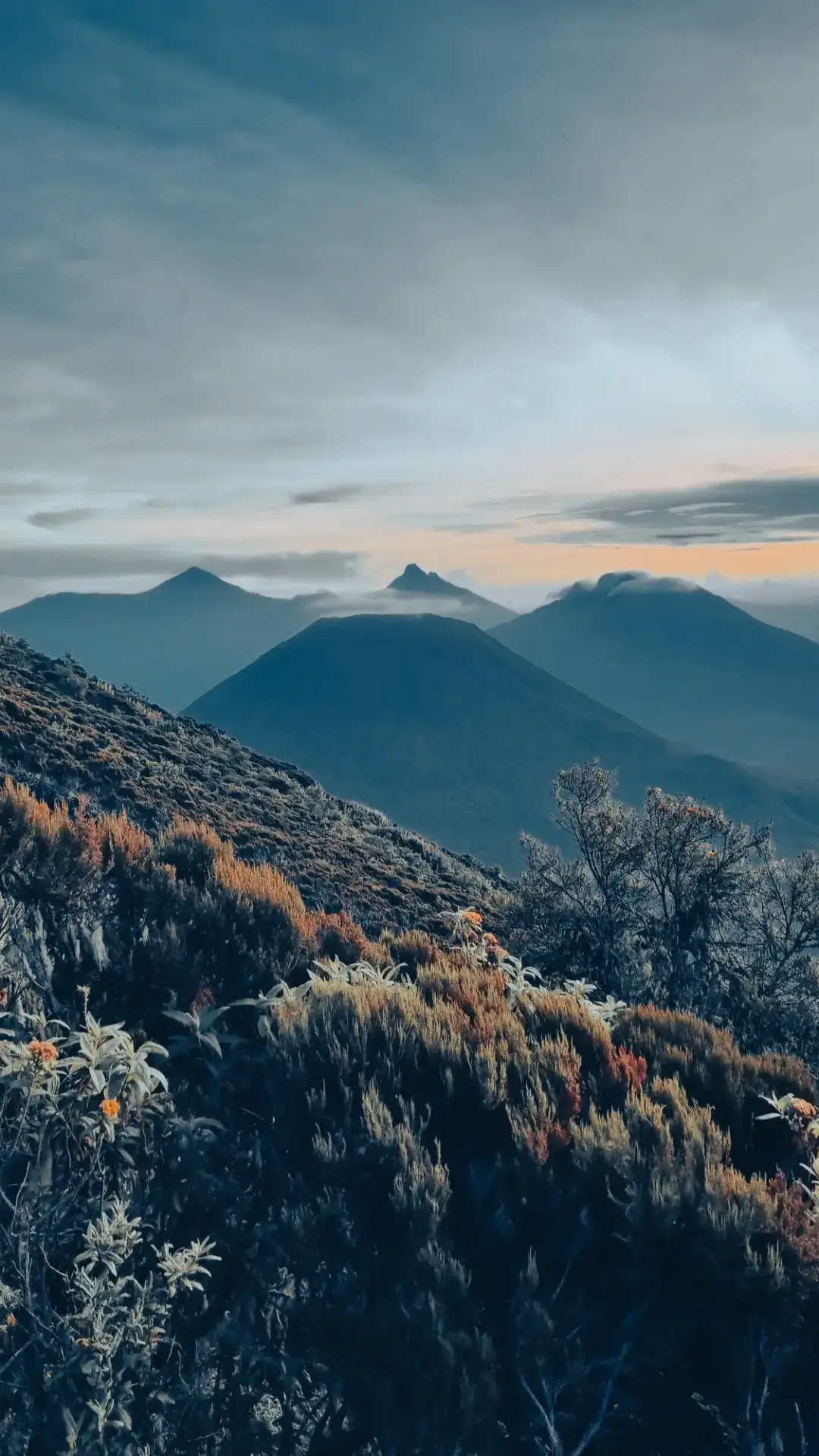 22 Day Uganda, Rwanda and Virunga Congo Grand Expedition