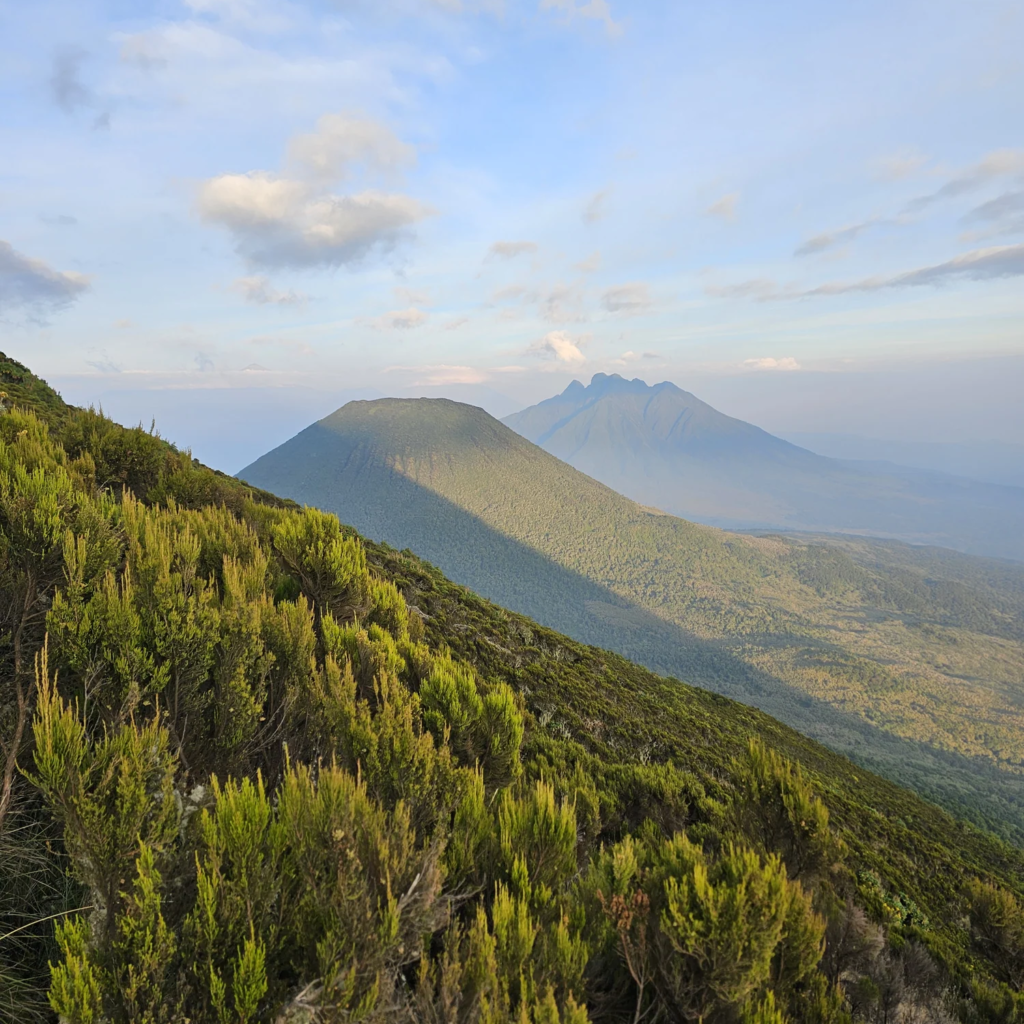 9 Day Volcanoes to Chimps: Rwanda and Uganda Crossing