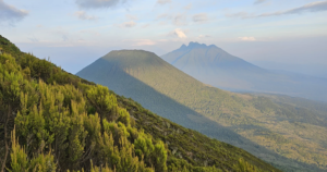 9 Day Volcanoes to Chimps: Rwanda and Uganda Crossing