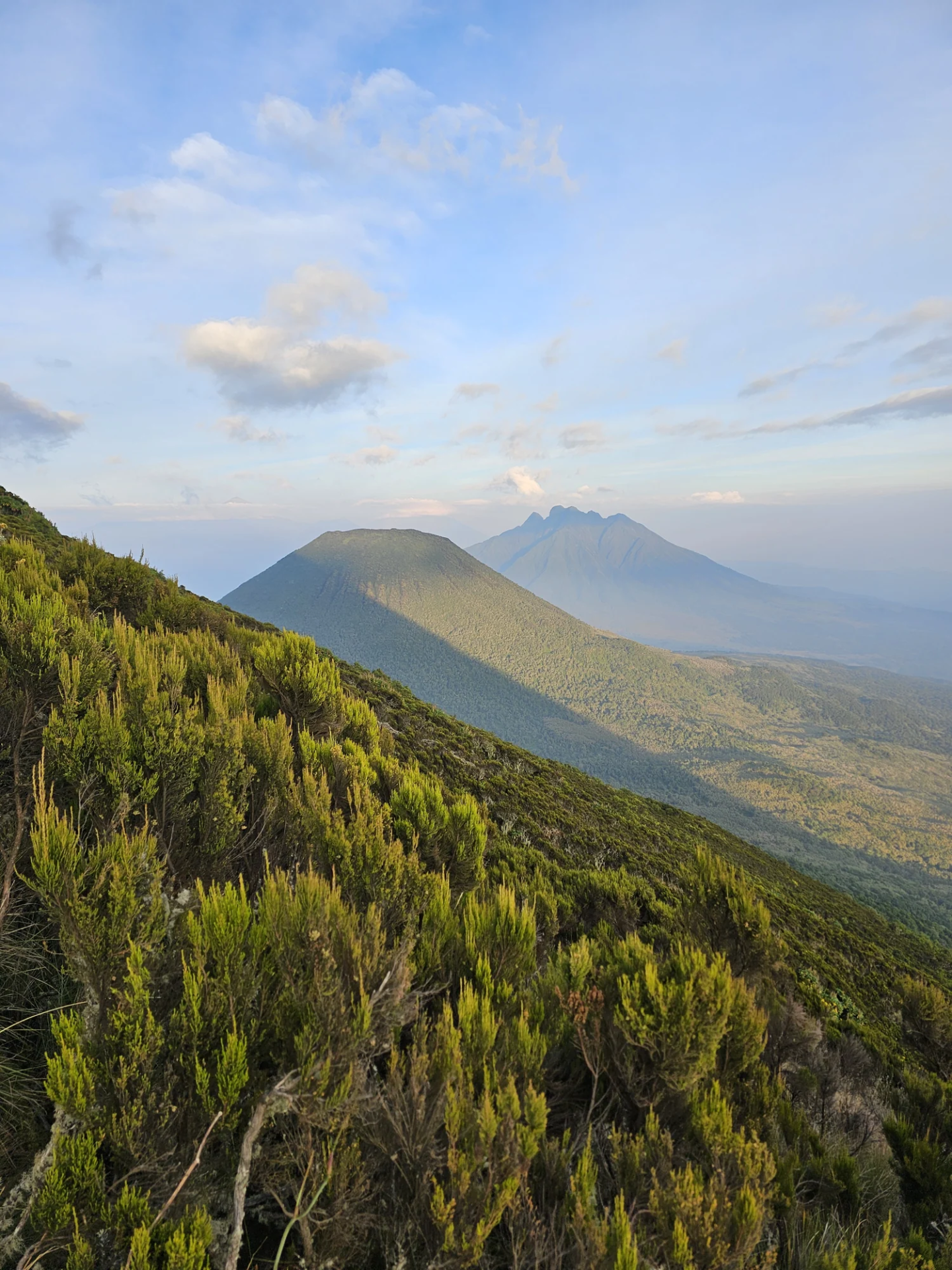 9 Day Volcanoes to Chimps: Rwanda and Uganda Crossing