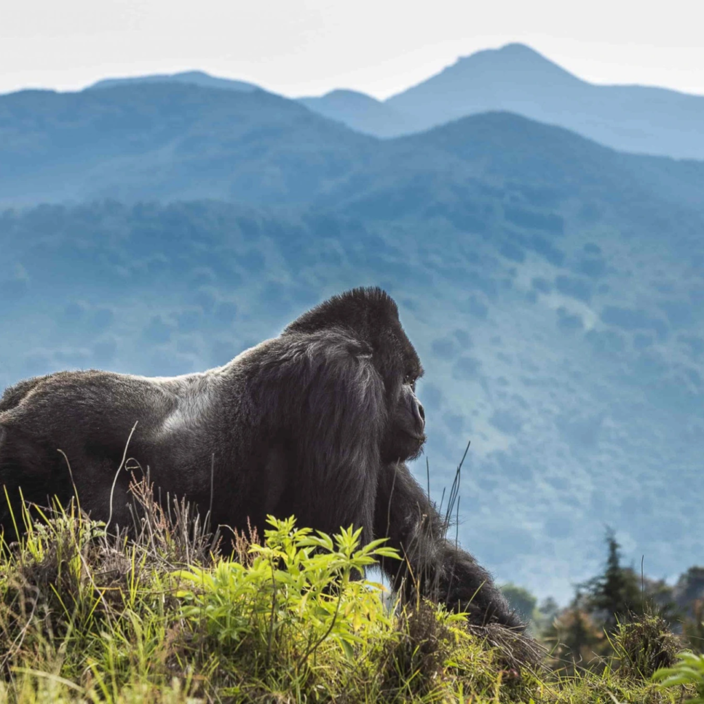 Rwanda