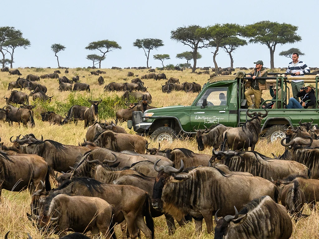 7-Day Kenya Maasai Mara & Amboseli Safari