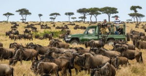 7-Day Kenya Maasai Mara & Amboseli Safari