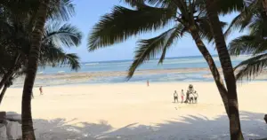 Rwanda Gorilla and Zanzibar Beach Safari: Route Guide