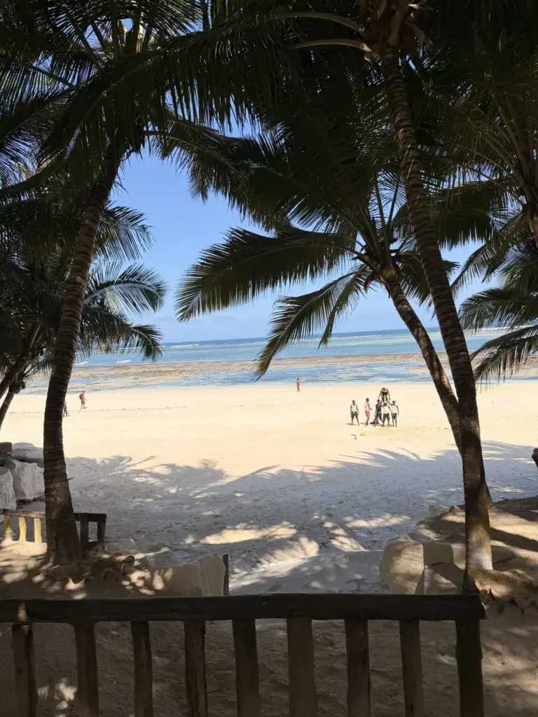 Beach palms, Zanzibar