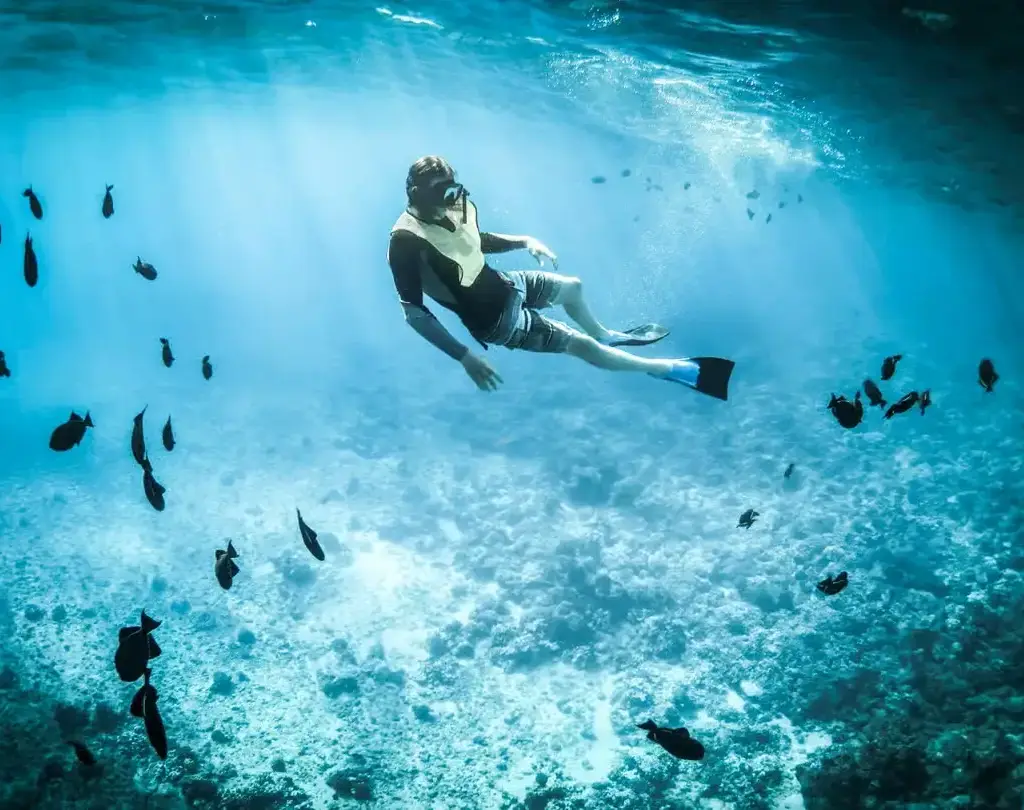 A snorkeller swimming with a turtle off Zanzibar